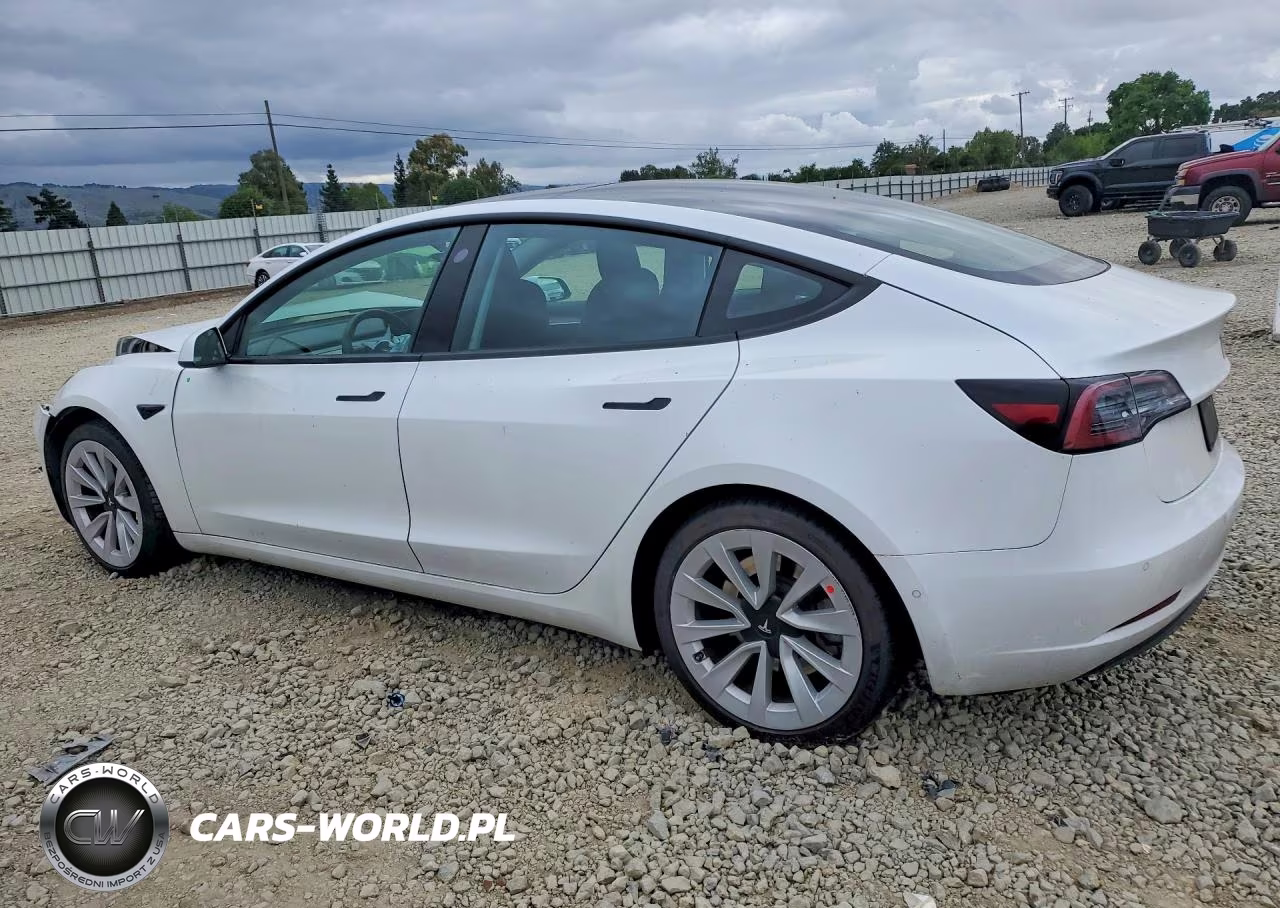 2021 Tesla Model 3 VIN:5YJ3E1EA4MF998439 - 2