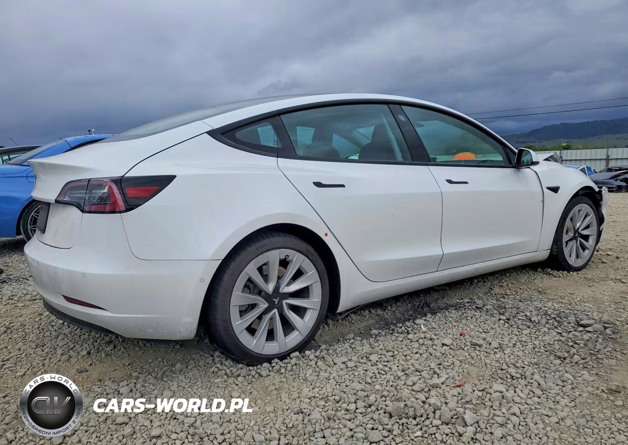 2021 Tesla Model 3 VIN:5YJ3E1EA4MF998439 - 3