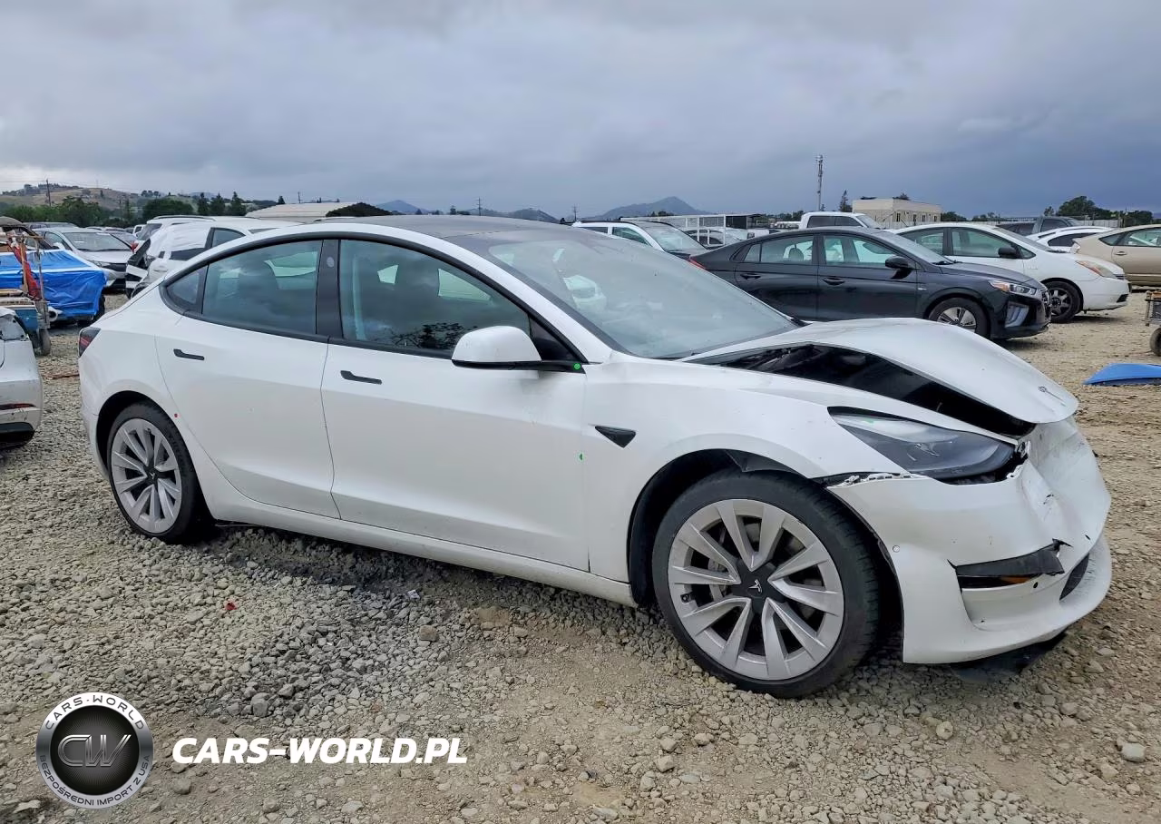 2021 Tesla Model 3 VIN:5YJ3E1EA4MF998439 - 4