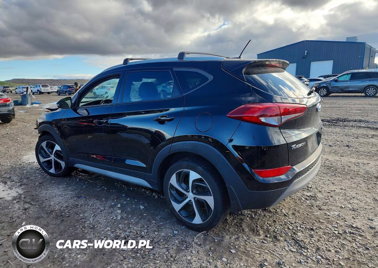 2017 Hyundai Tucson Sport VIN:KM8J3CA20HU455895 - 2