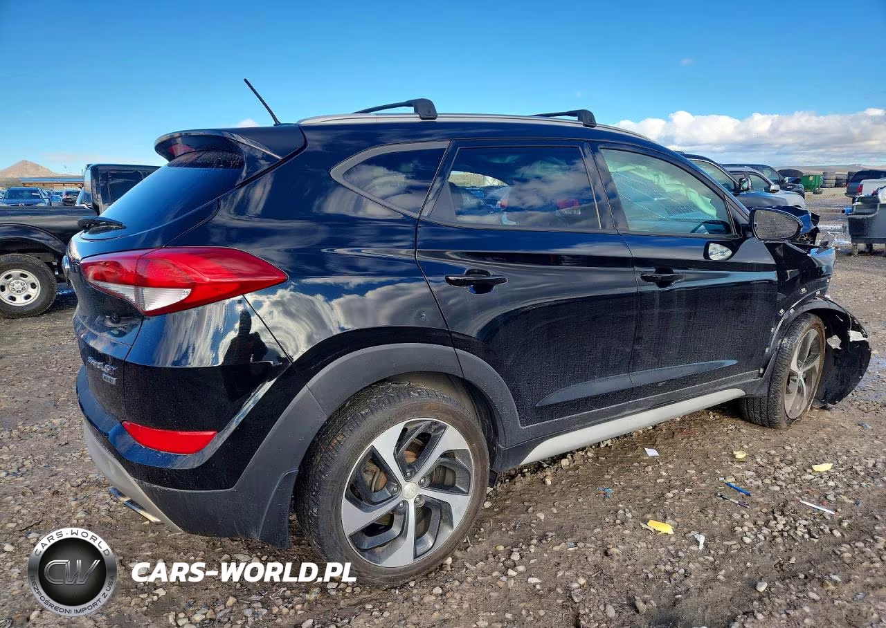 2017 Hyundai Tucson Sport VIN:KM8J3CA20HU455895 - 3