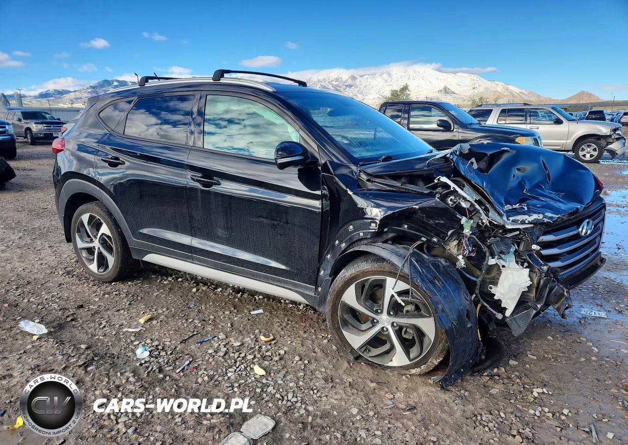 2017 Hyundai Tucson Sport VIN:KM8J3CA20HU455895 - 4
