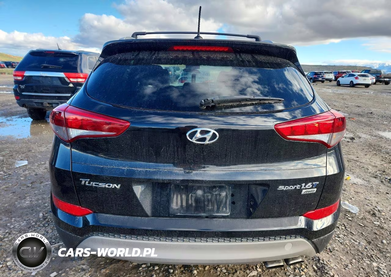 2017 Hyundai Tucson Sport VIN:KM8J3CA20HU455895 - 6