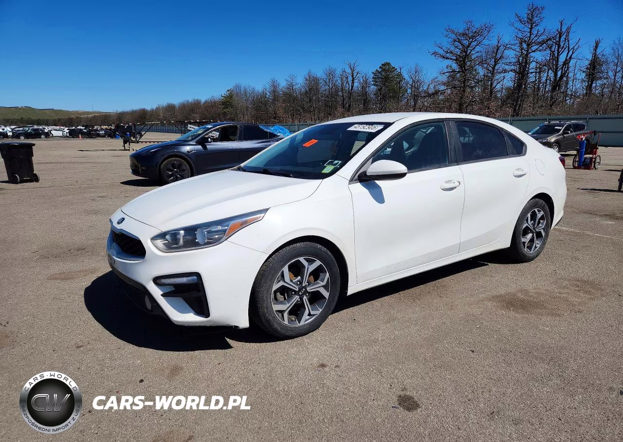 2019 Kia Forte Lxs
