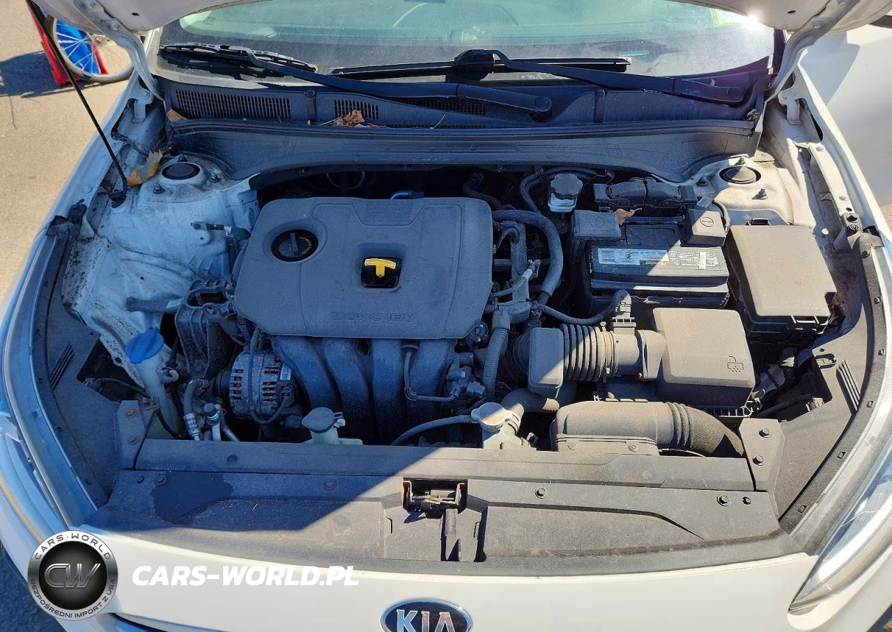 2019 Kia Forte Lxs VIN:3KPF24AD1KE131039 - 11