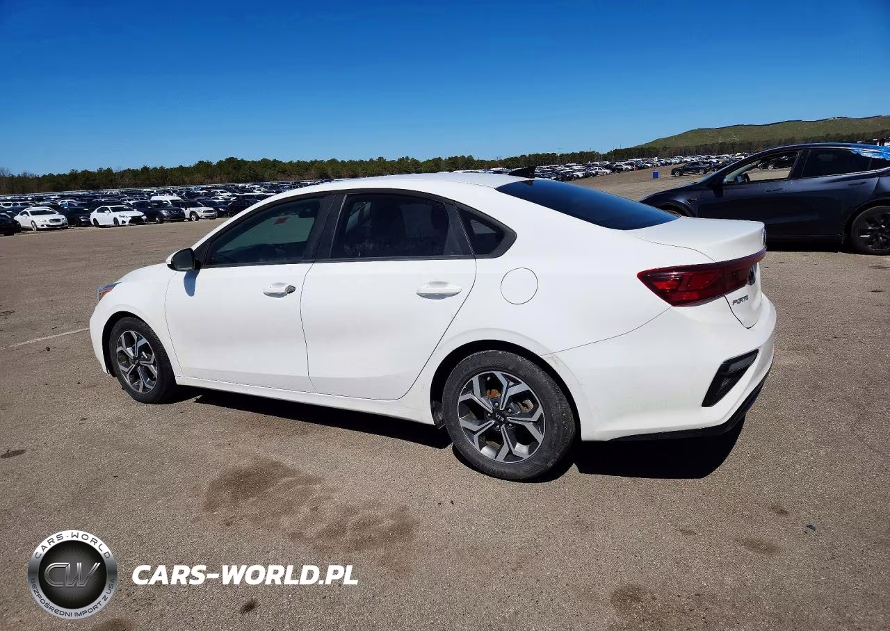 2019 Kia Forte Lxs VIN:3KPF24AD1KE131039 - 2