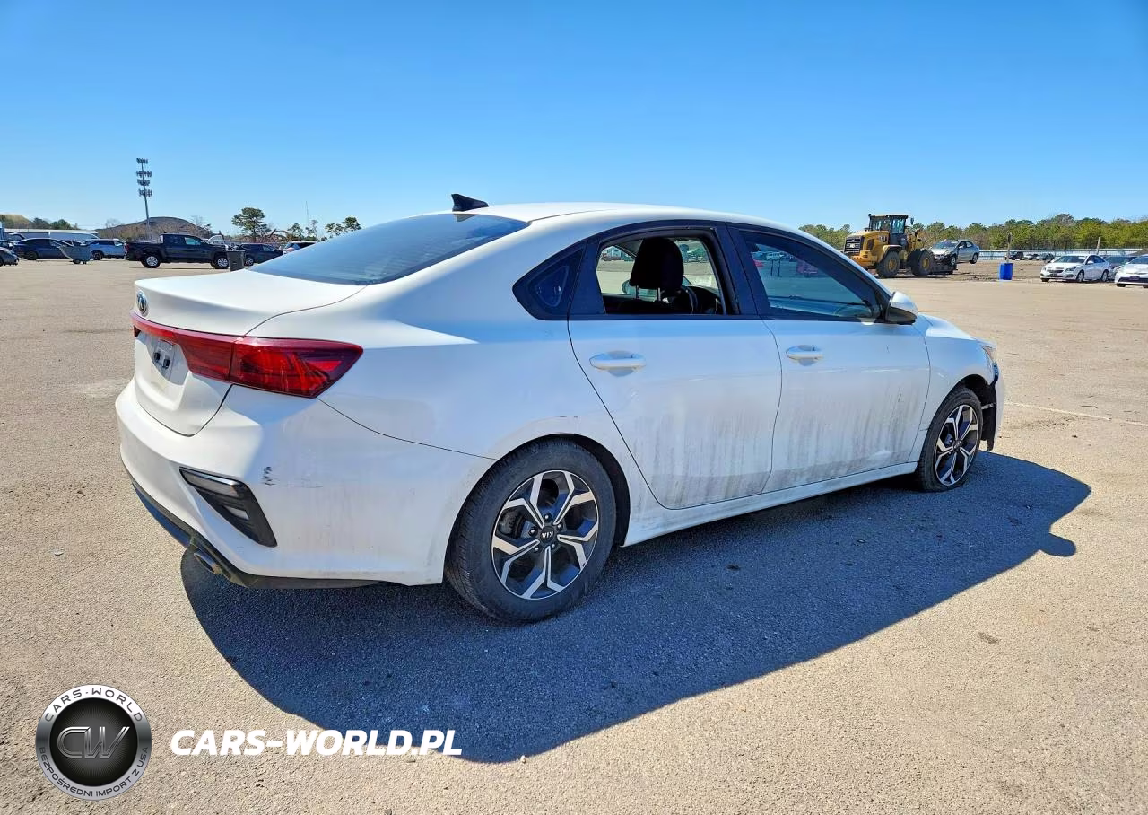 2019 Kia Forte Lxs VIN:3KPF24AD1KE131039 - 3
