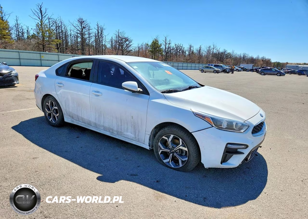 2019 Kia Forte Lxs VIN:3KPF24AD1KE131039 - 4
