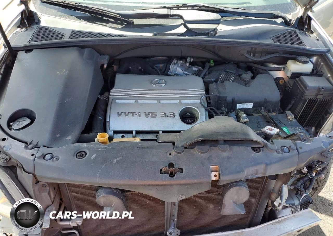 2006 Lexus Rx 330 Base VIN:2T2GA31U66C044383 - 12