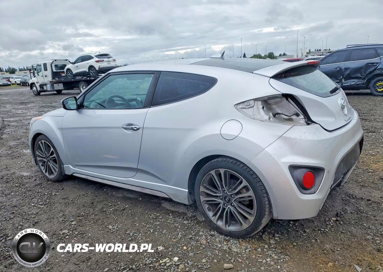 2017 Hyundai Veloster Turbo VIN:KMHTC6AE5HU313465 - 2