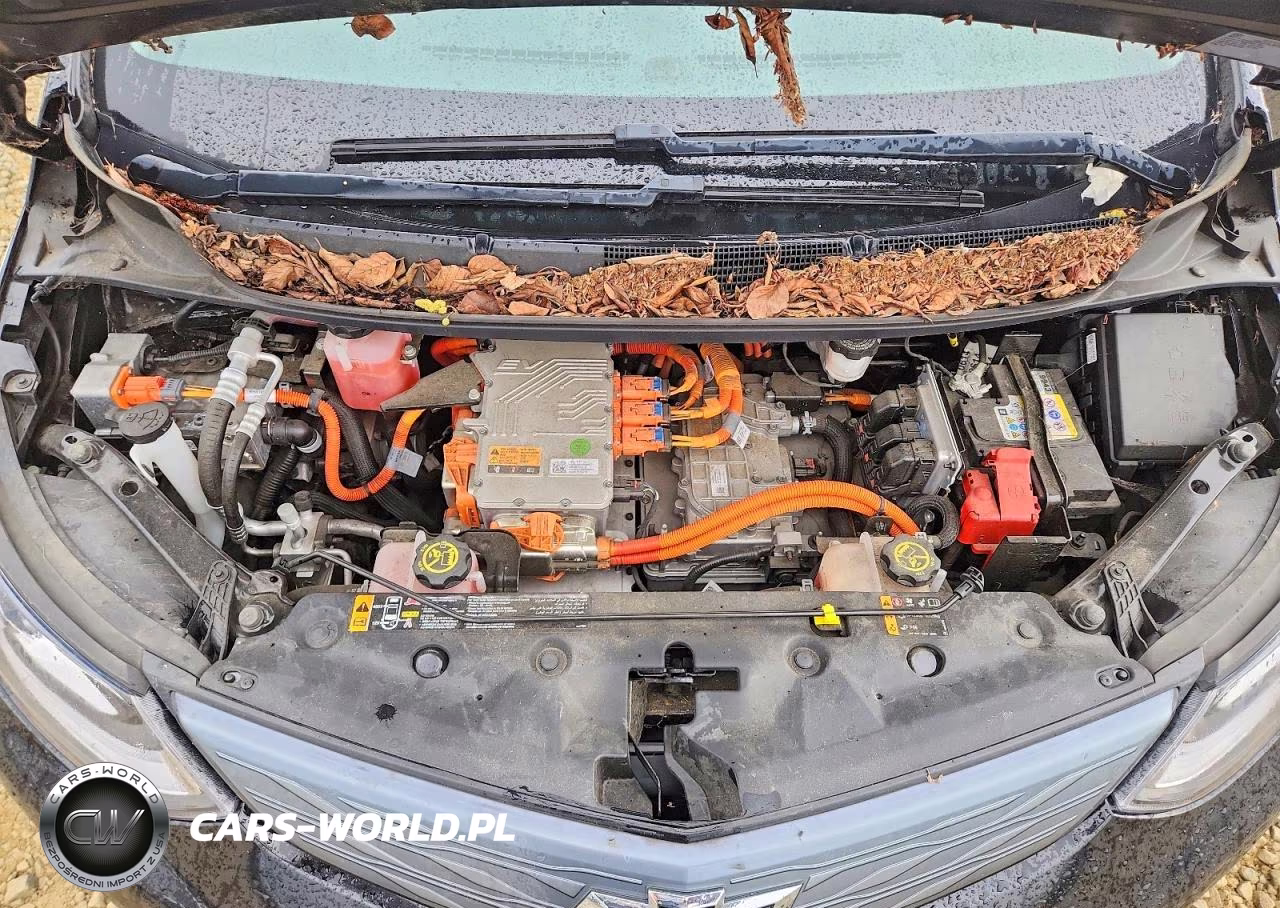2019 Chevrolet Bolt Ev Premier VIN:1G1FZ6S07K4142043 - 11