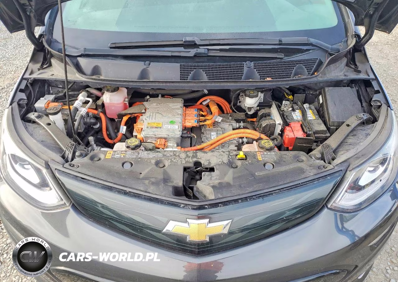 2019 Chevrolet Bolt Ev Lt VIN:1G1FY6S0XK4104695 - 11
