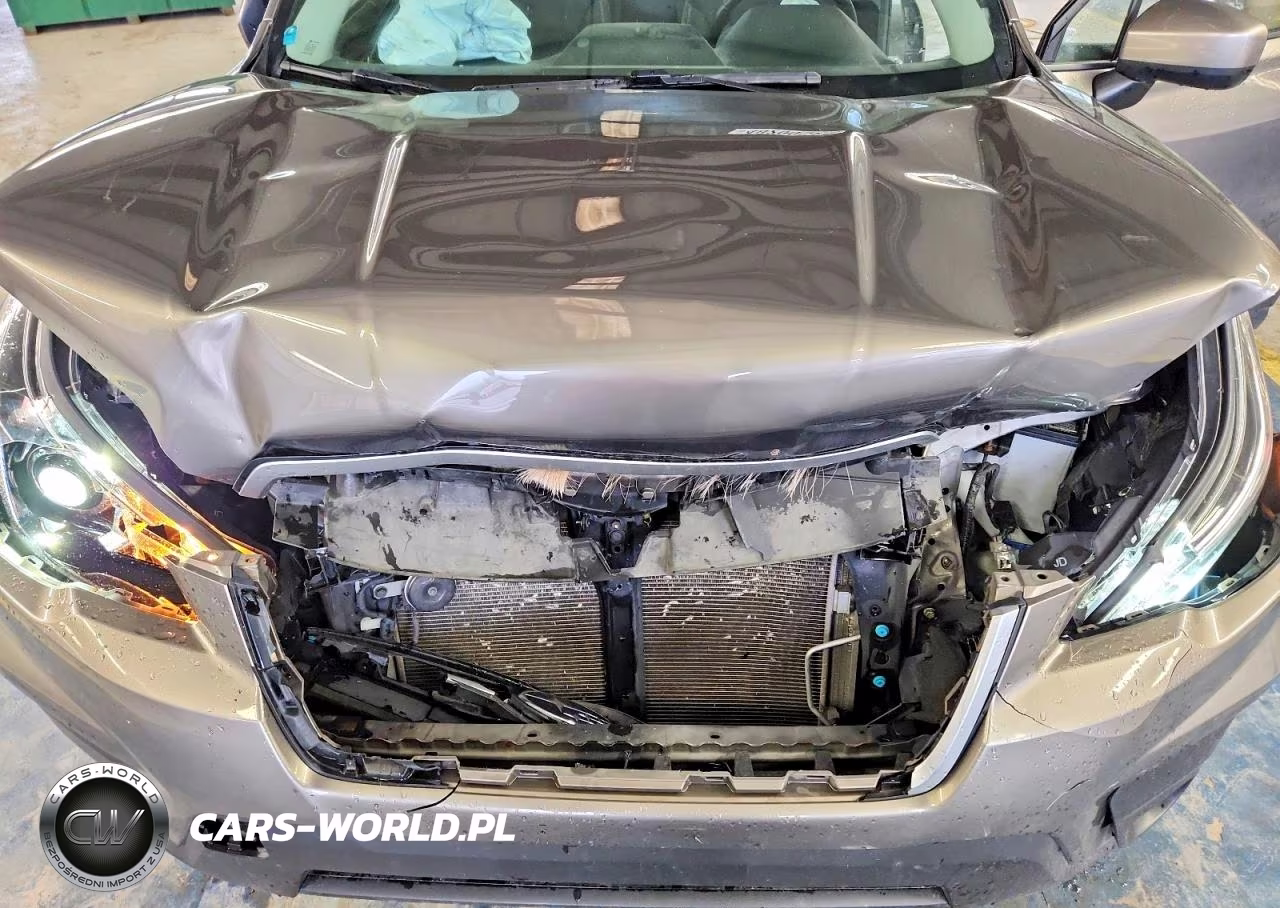 2019 Subaru Forester Premium VIN:JF2SKAGC1KH477101 - 12