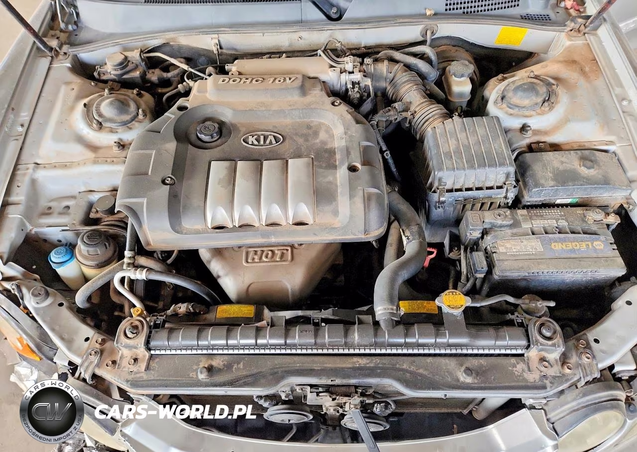 2004 Kia Optima Lx VIN:KNAGD126745362696 - 11