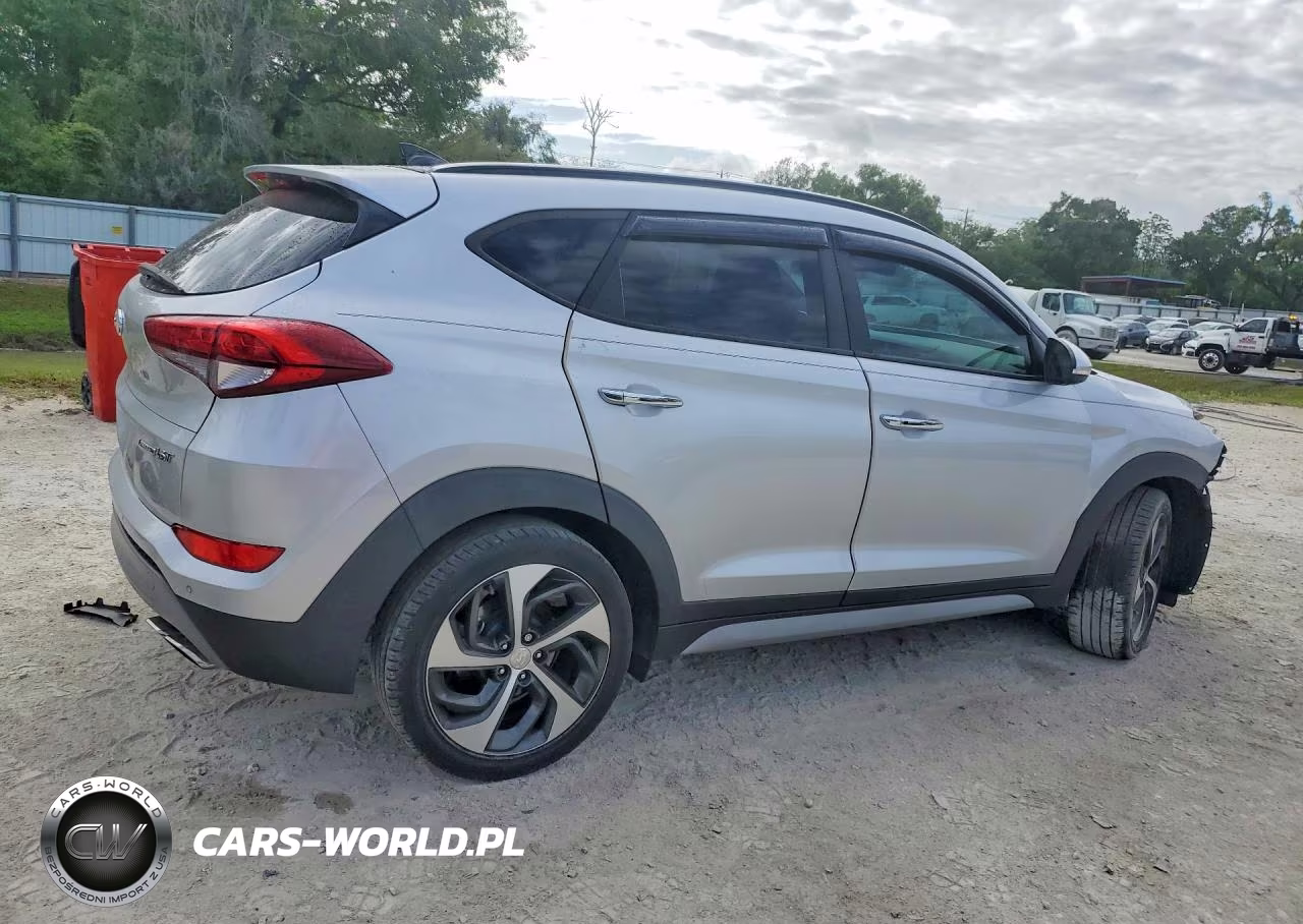2018 Hyundai Tucson Limited VIN:KM8J33A2XJU655978 - 3