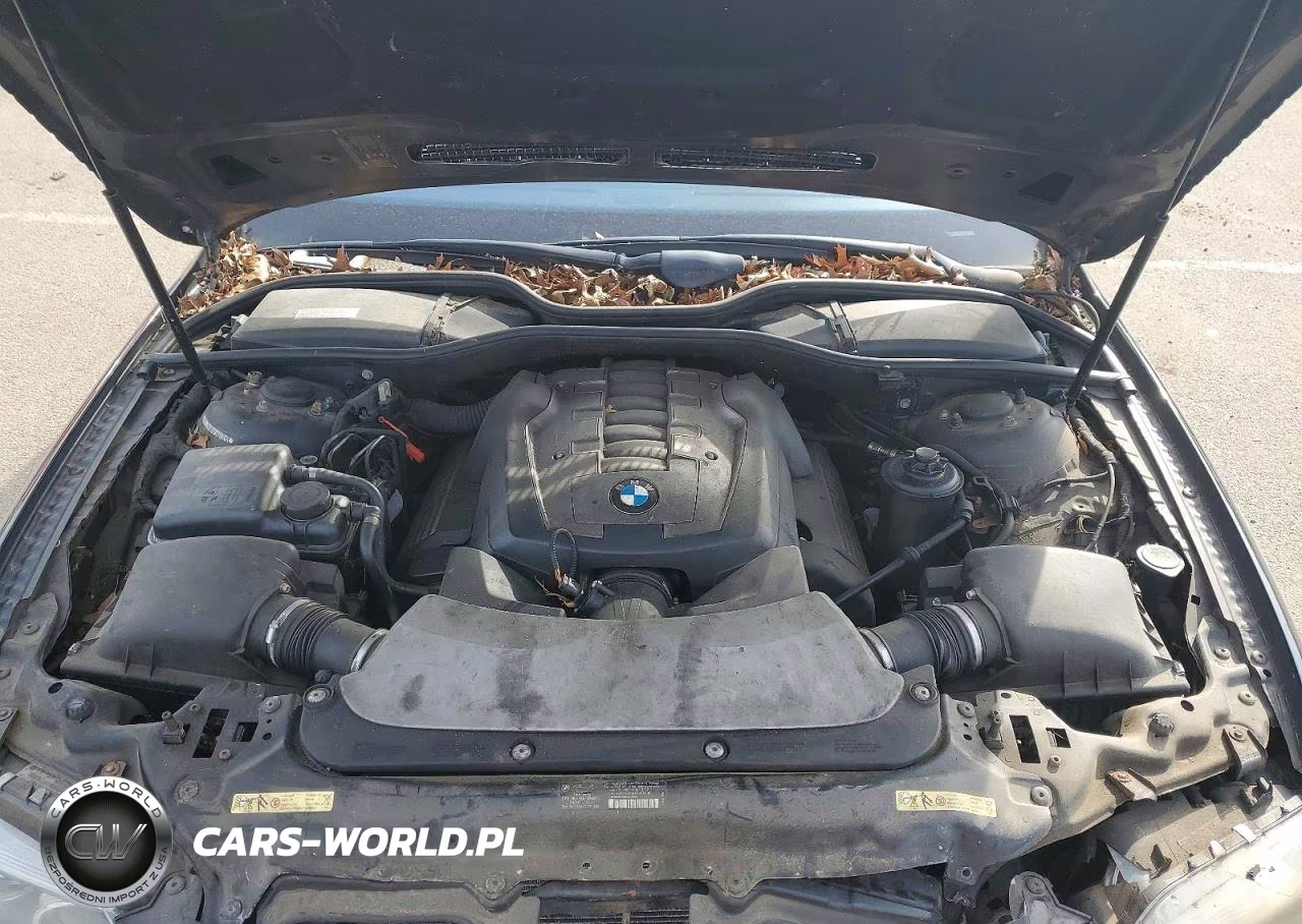 2007 BMW 750 VIN:WBAHN83517DT70464 - 11