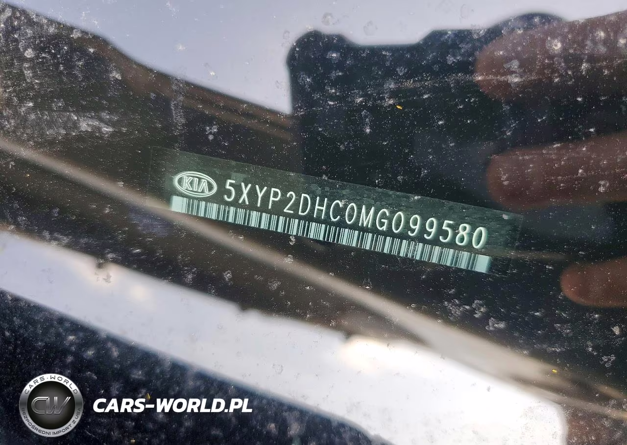 2021 Kia Telluride S VIN:5XYP2DHC0MG099580 - 13