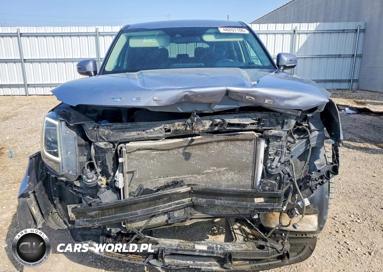 2021 Kia Telluride S VIN:5XYP2DHC0MG099580 - 5