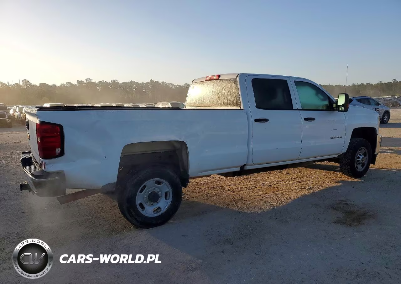 2019 Chevrolet Silverado C2500 Heavy Duty VIN:1GC1CREG7KF107200 - 3