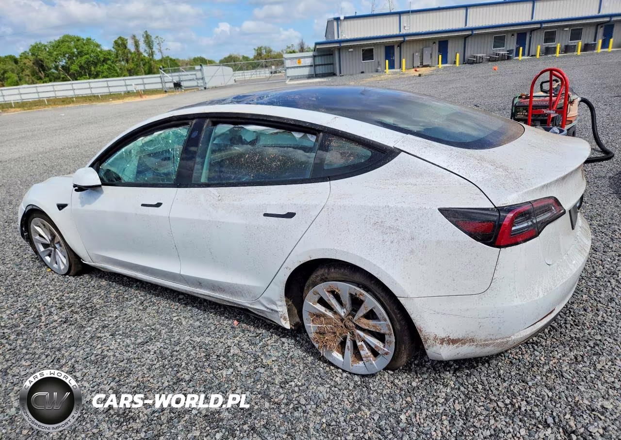 2022 Tesla Model 3 VIN:5YJ3E1EA0NF369214 - 2