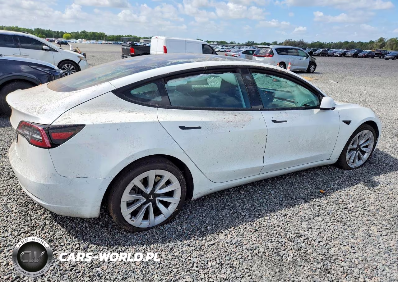 2022 Tesla Model 3 VIN:5YJ3E1EA0NF369214 - 3