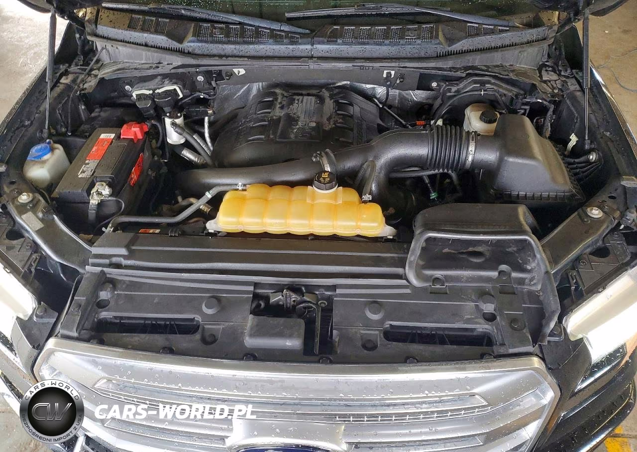 2016 Ford F150 Supercrew VIN:1FTEW1EG7GFA39854 - 11