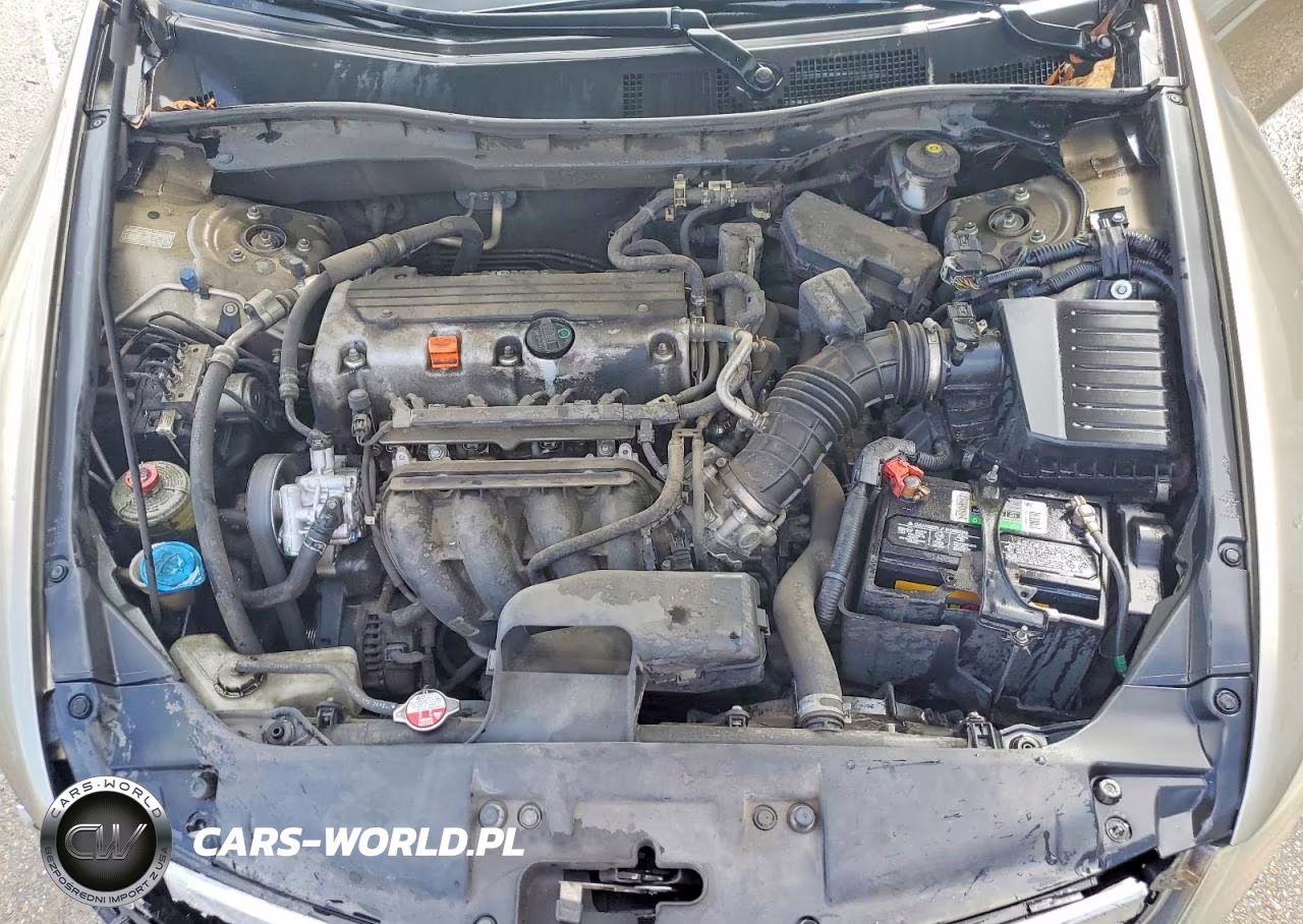 2010 Honda Accord Lx VIN:1HGCP2F38AA117487 - 11