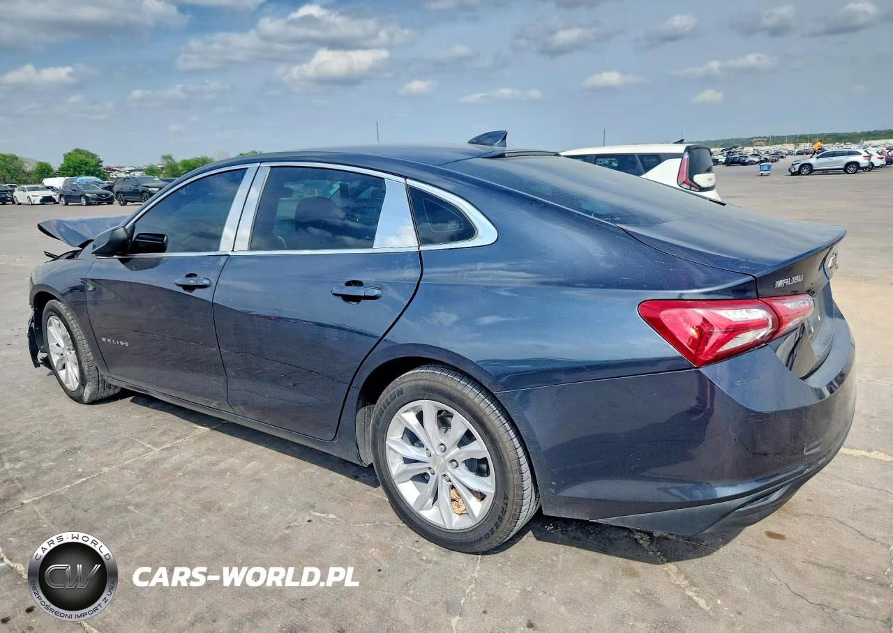 2019 Chevrolet Malibu Lt VIN:1G1ZD5ST1KF138462 - 2