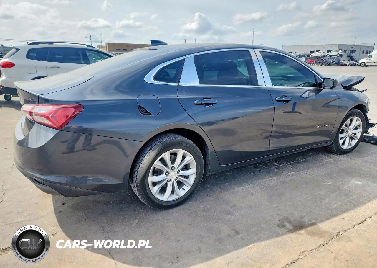 2019 Chevrolet Malibu Lt VIN:1G1ZD5ST1KF138462 - 3