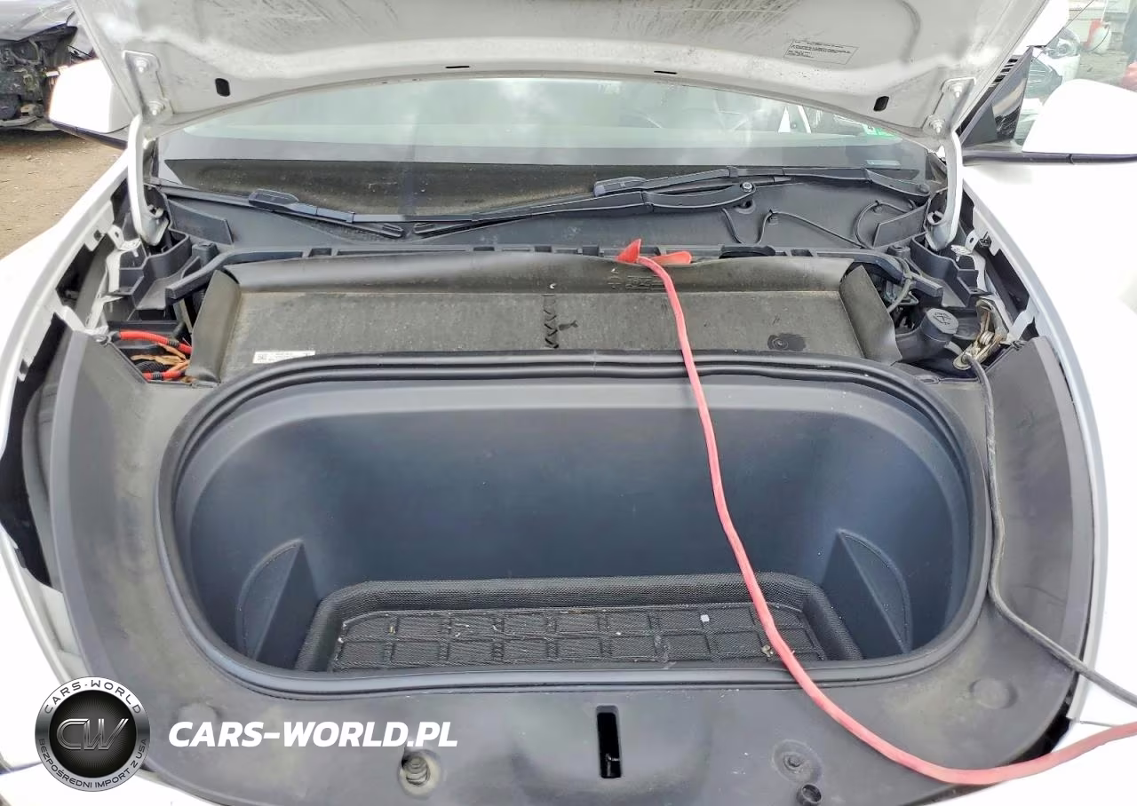 2023 Tesla Model Y VIN:7SAYGDEE3PA051854 - 11