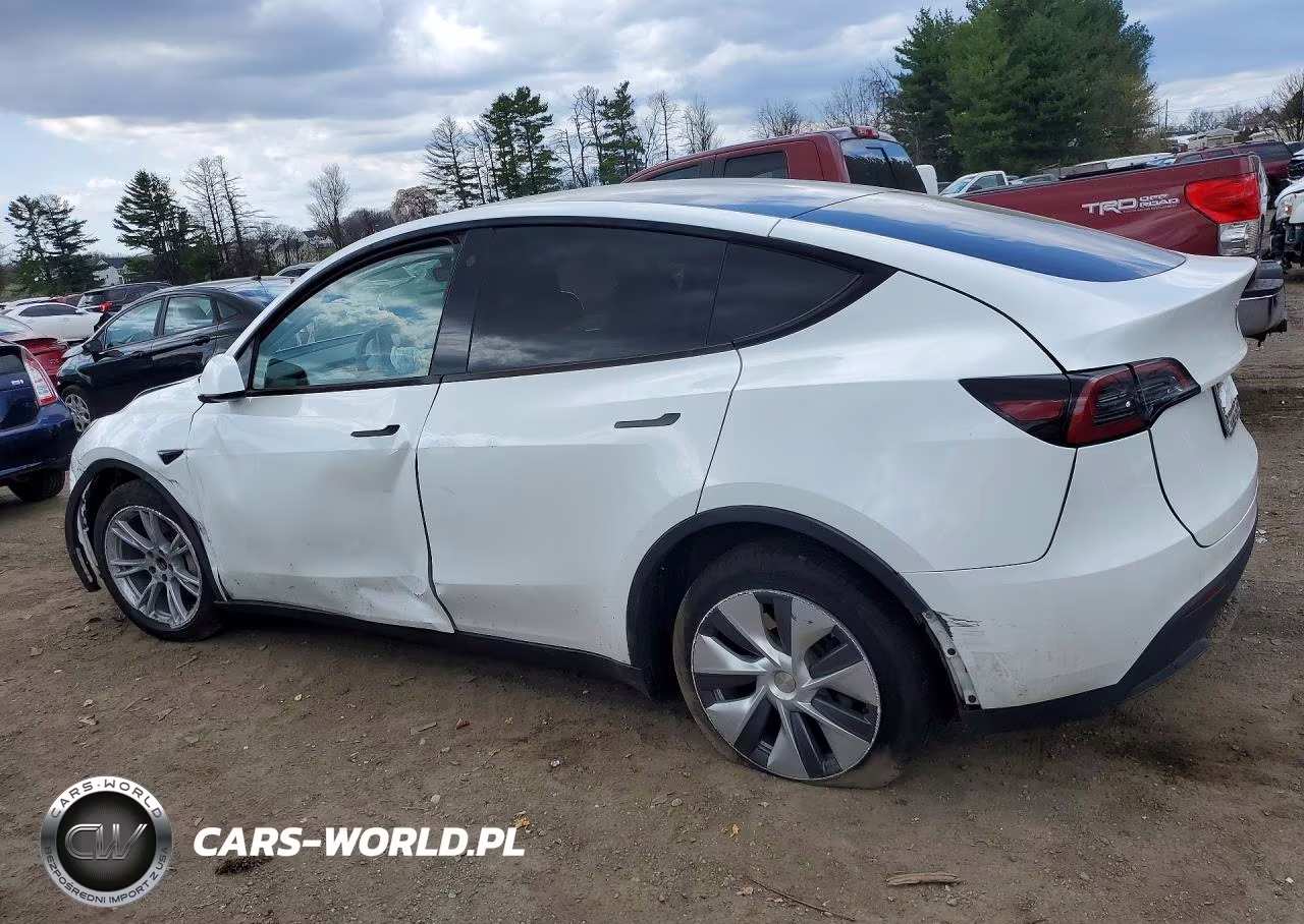 2023 Tesla Model Y VIN:7SAYGDEE3PA051854 - 2