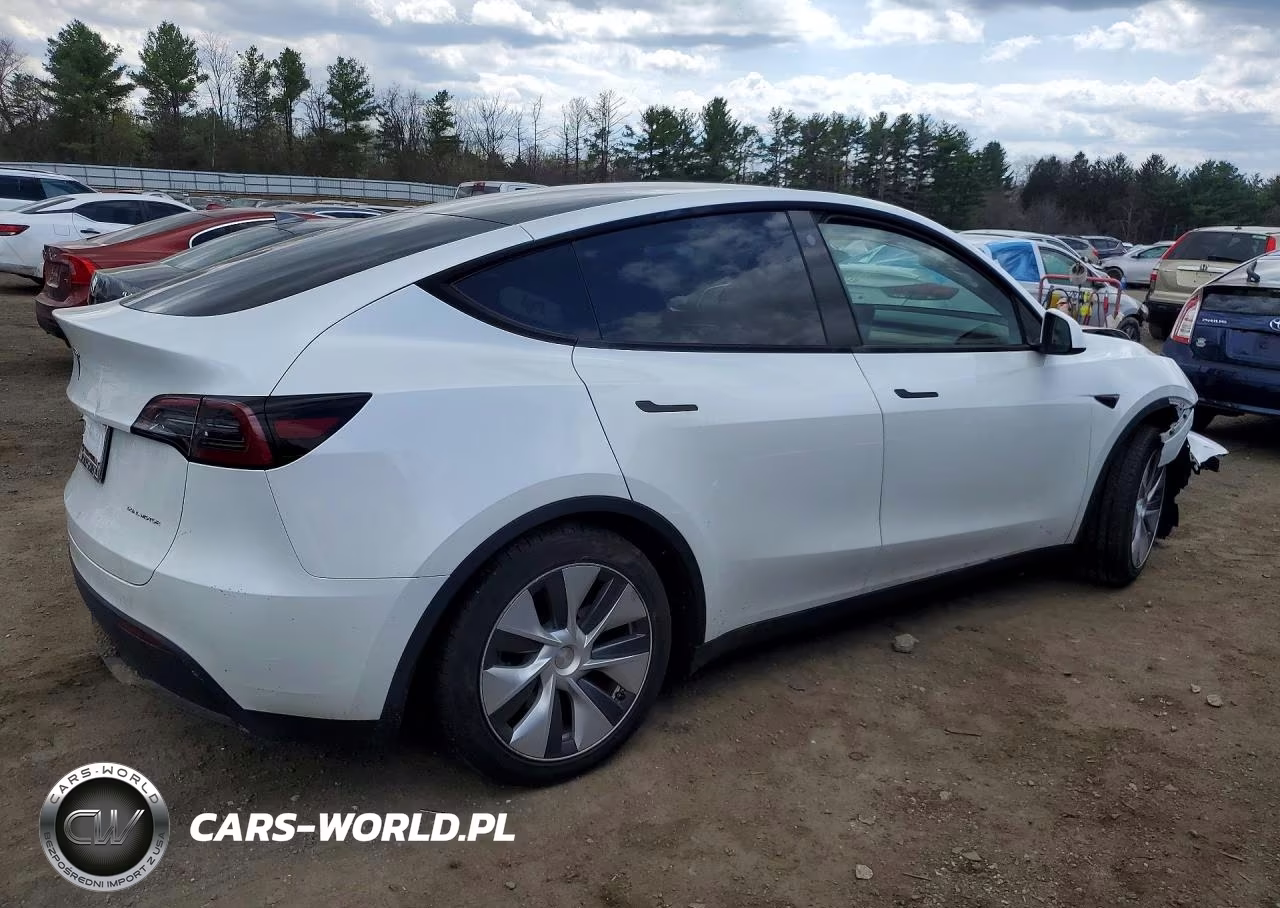 2023 Tesla Model Y VIN:7SAYGDEE3PA051854 - 3