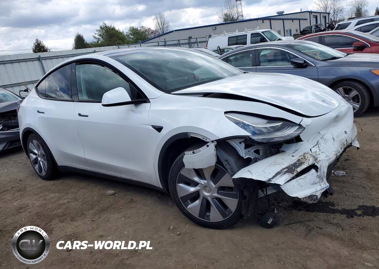 2023 Tesla Model Y VIN:7SAYGDEE3PA051854 - 4