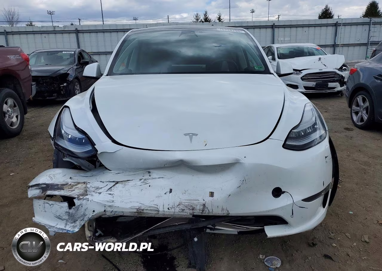 2023 Tesla Model Y VIN:7SAYGDEE3PA051854 - 5
