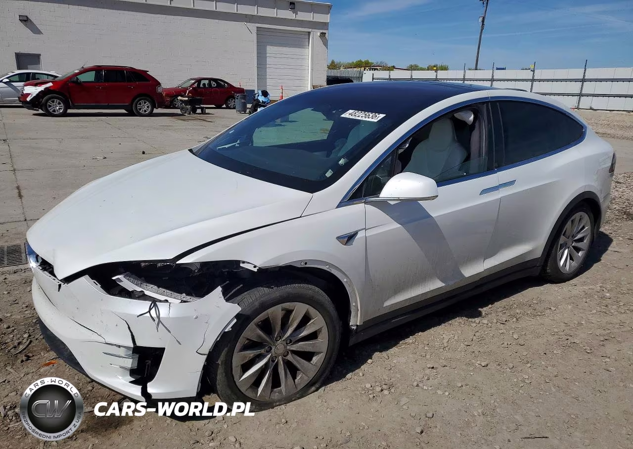 2019 Tesla Model X