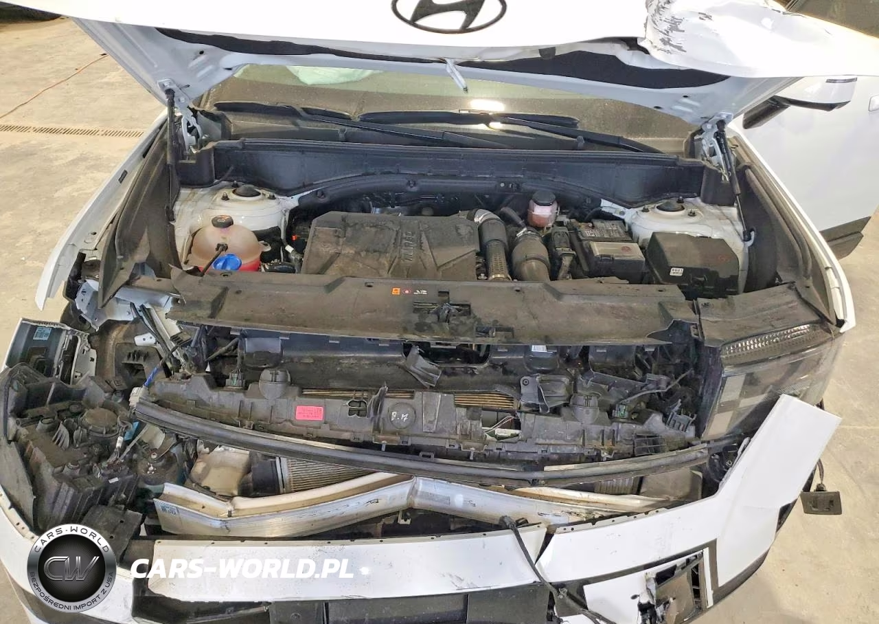 2024 Hyundai Santa Fe Calligraphy VIN:5NMP5DGL5RH052051 - 12