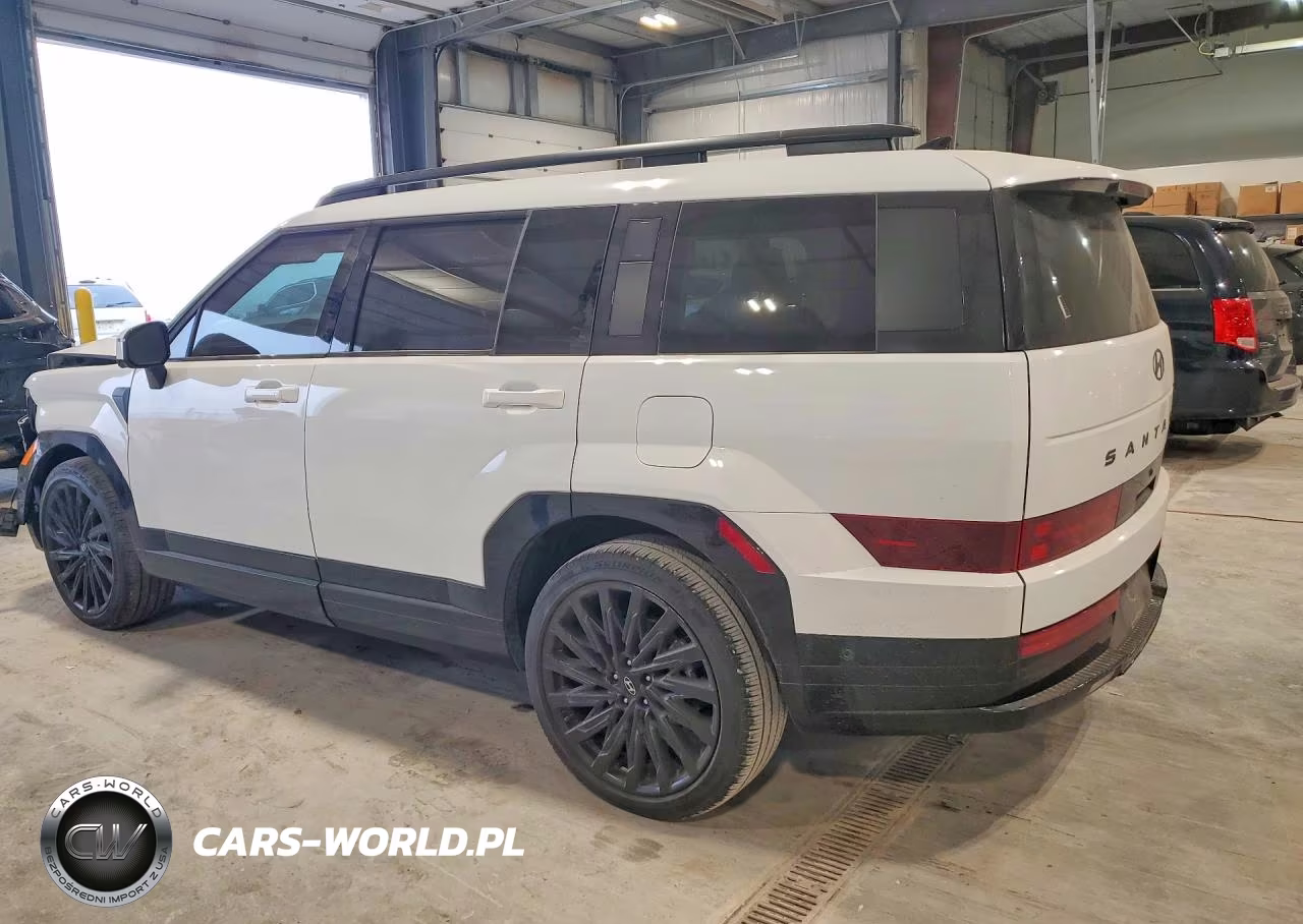 2024 Hyundai Santa Fe Calligraphy VIN:5NMP5DGL5RH052051 - 2