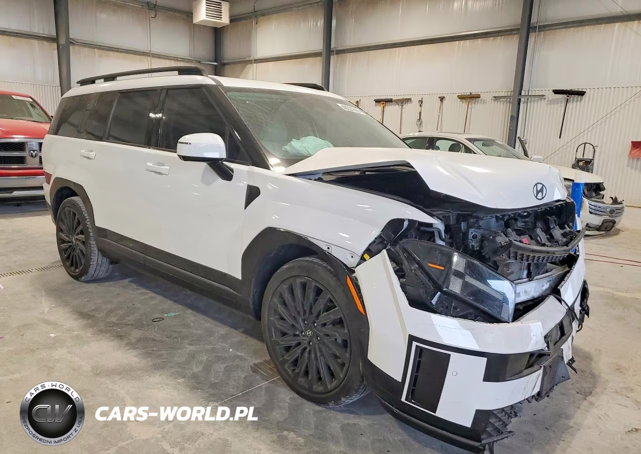 2024 Hyundai Santa Fe Calligraphy VIN:5NMP5DGL5RH052051 - 4