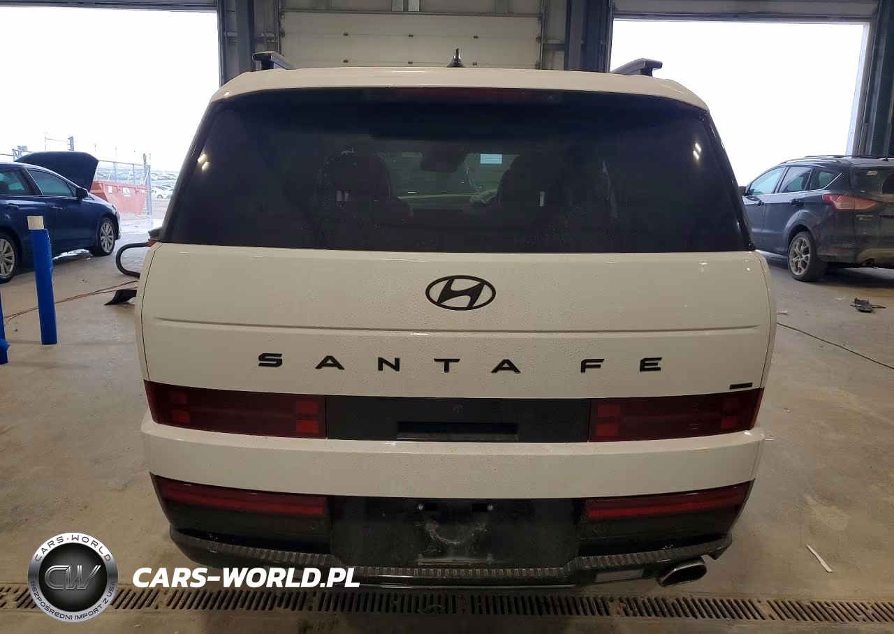 2024 Hyundai Santa Fe Calligraphy VIN:5NMP5DGL5RH052051 - 6