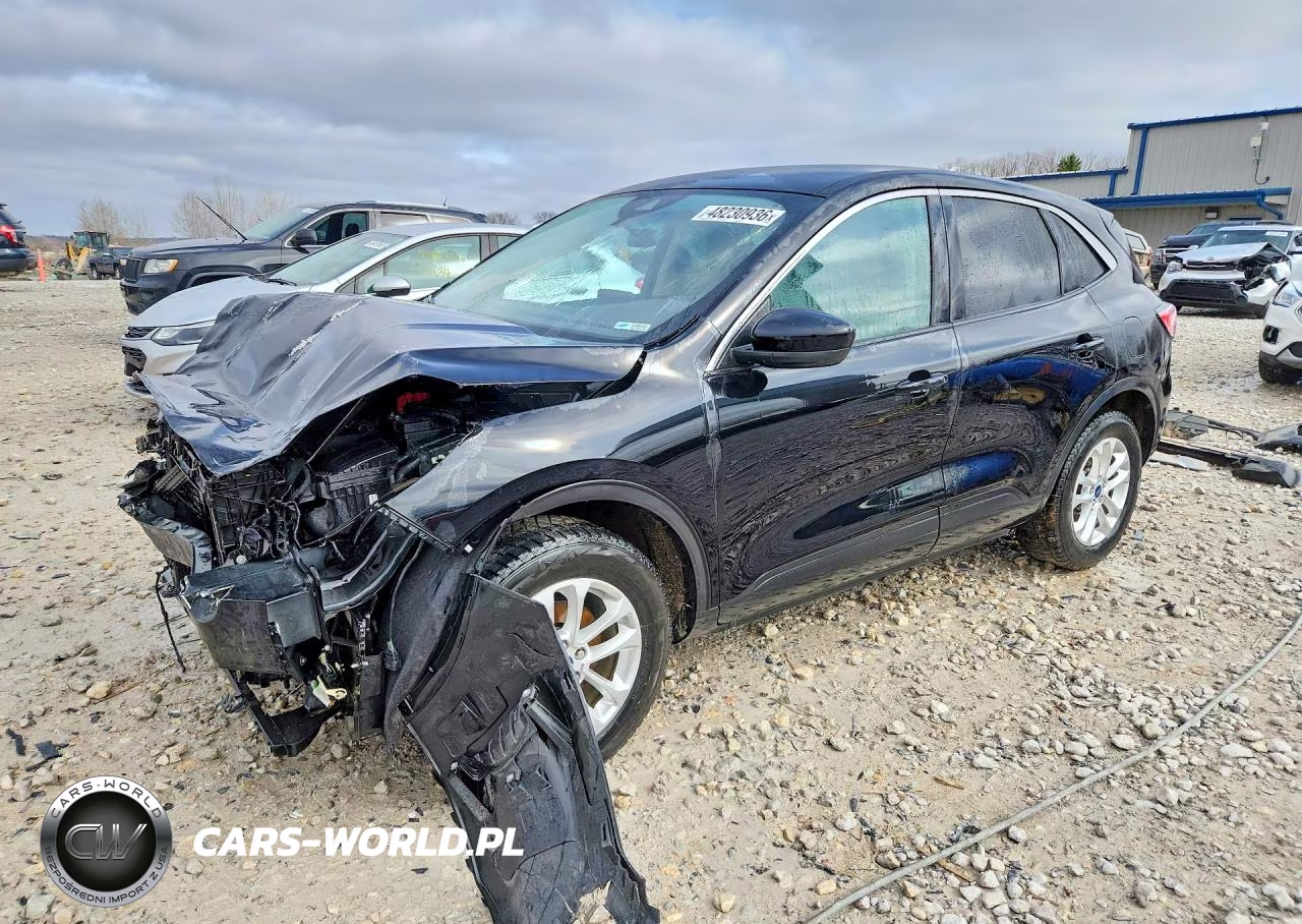 2020 Ford Escape Se
