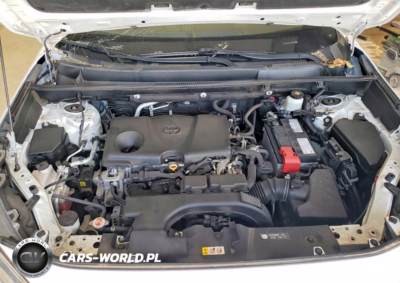 2020 Toyota Rav4 Xle VIN:2T3P1RFV6LW126012 - 12