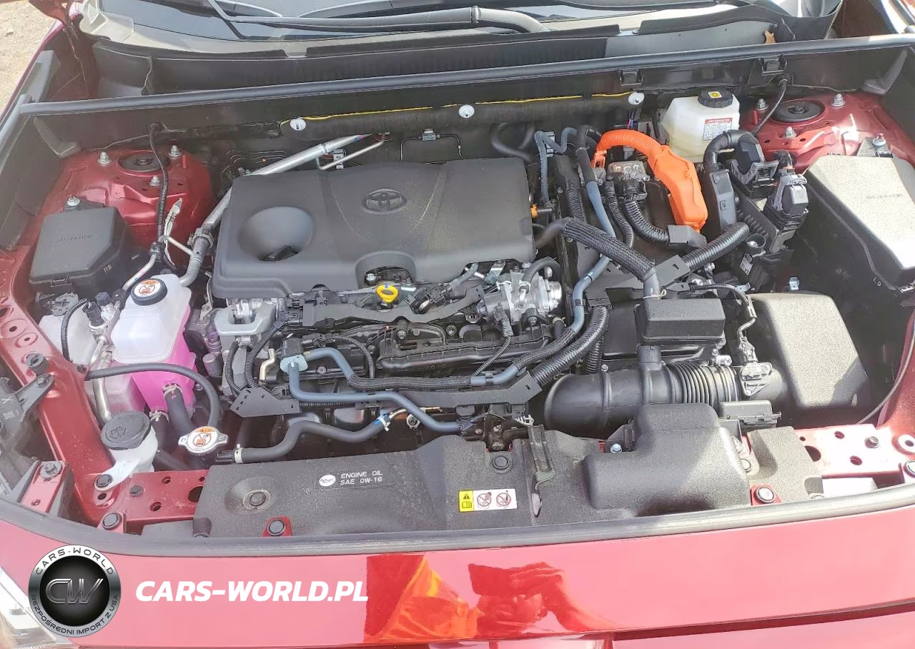 2025 Toyota Rav4 Hybrid Xle VIN:JTMRWRFV9SD337954 - 12