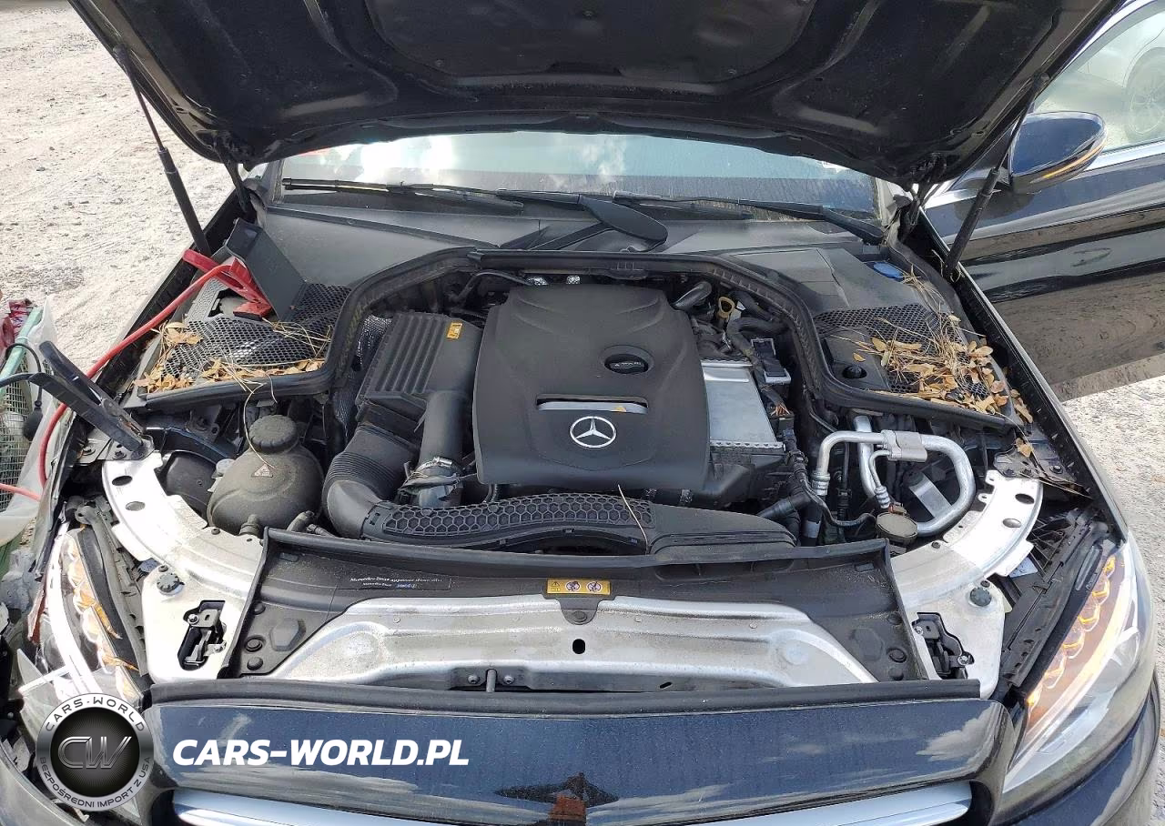 2018 Mercedes-Benz C 300 VIN:55SWF4JBXJU266756 - 11