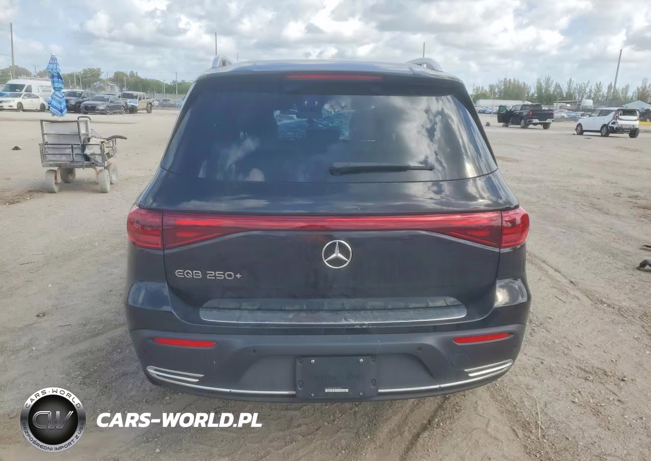 2025 Mercedes-Benz Eqb 250+ VIN:W1N9M0CB6SN139475 - 6