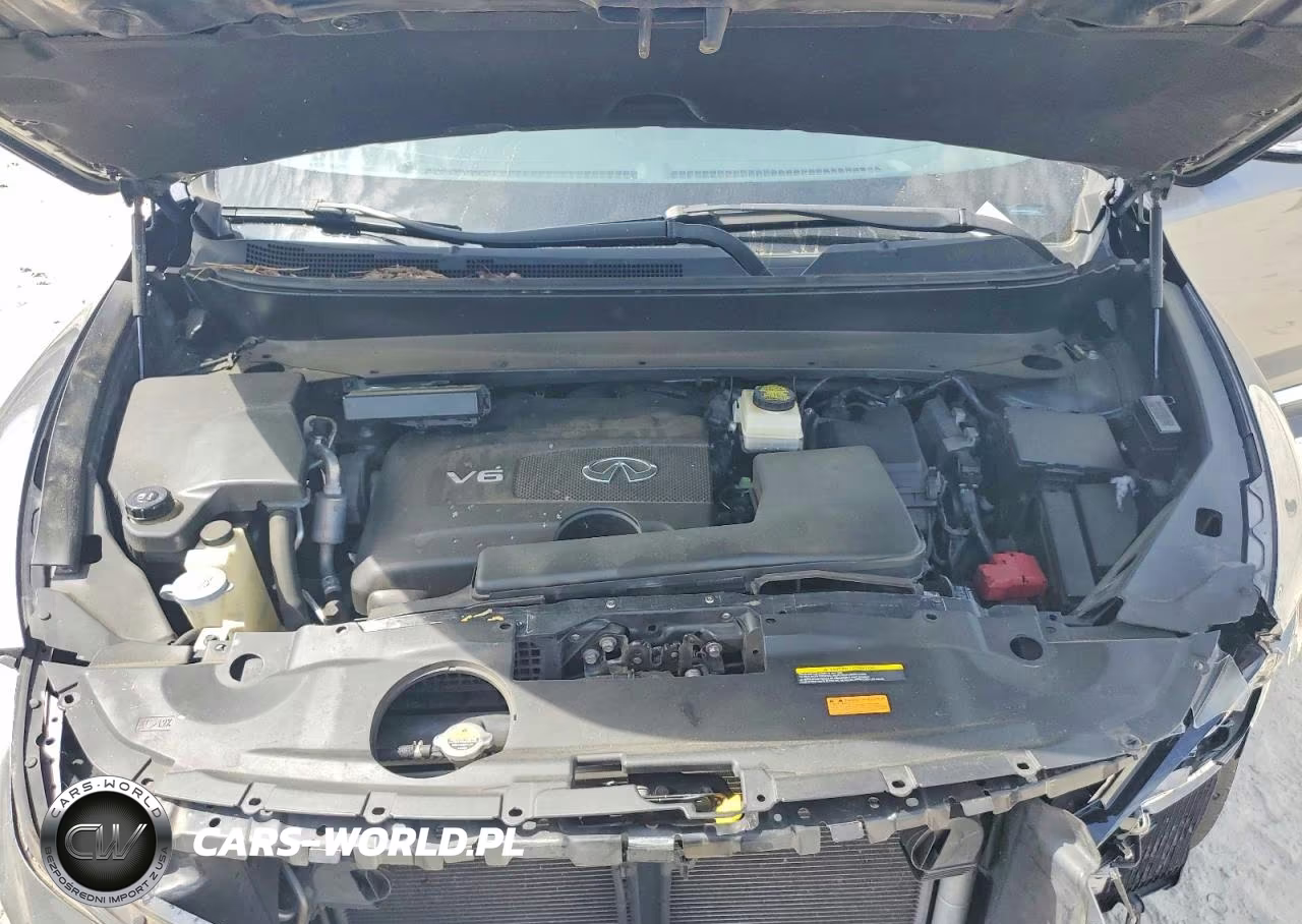 2019 Infiniti Qx60 Pure VIN:5N1DL0MN9KC519303 - 12