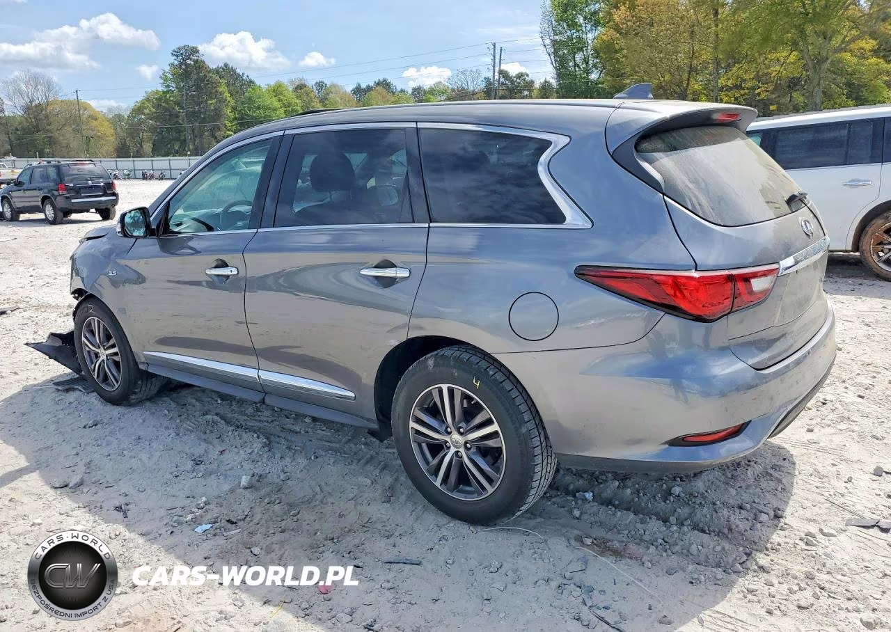 2019 Infiniti Qx60 Pure VIN:5N1DL0MN9KC519303 - 2