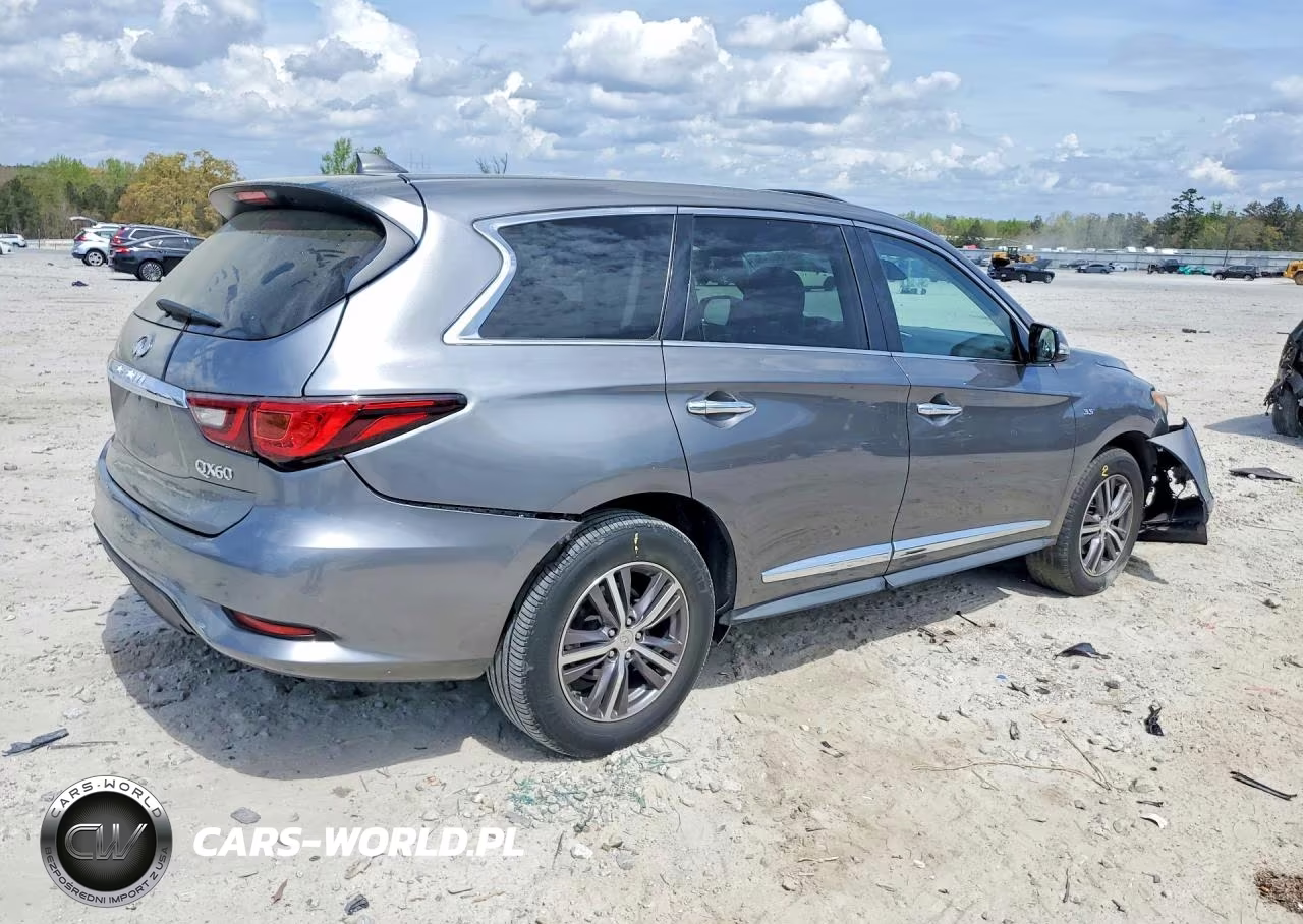 2019 Infiniti Qx60 Pure VIN:5N1DL0MN9KC519303 - 3