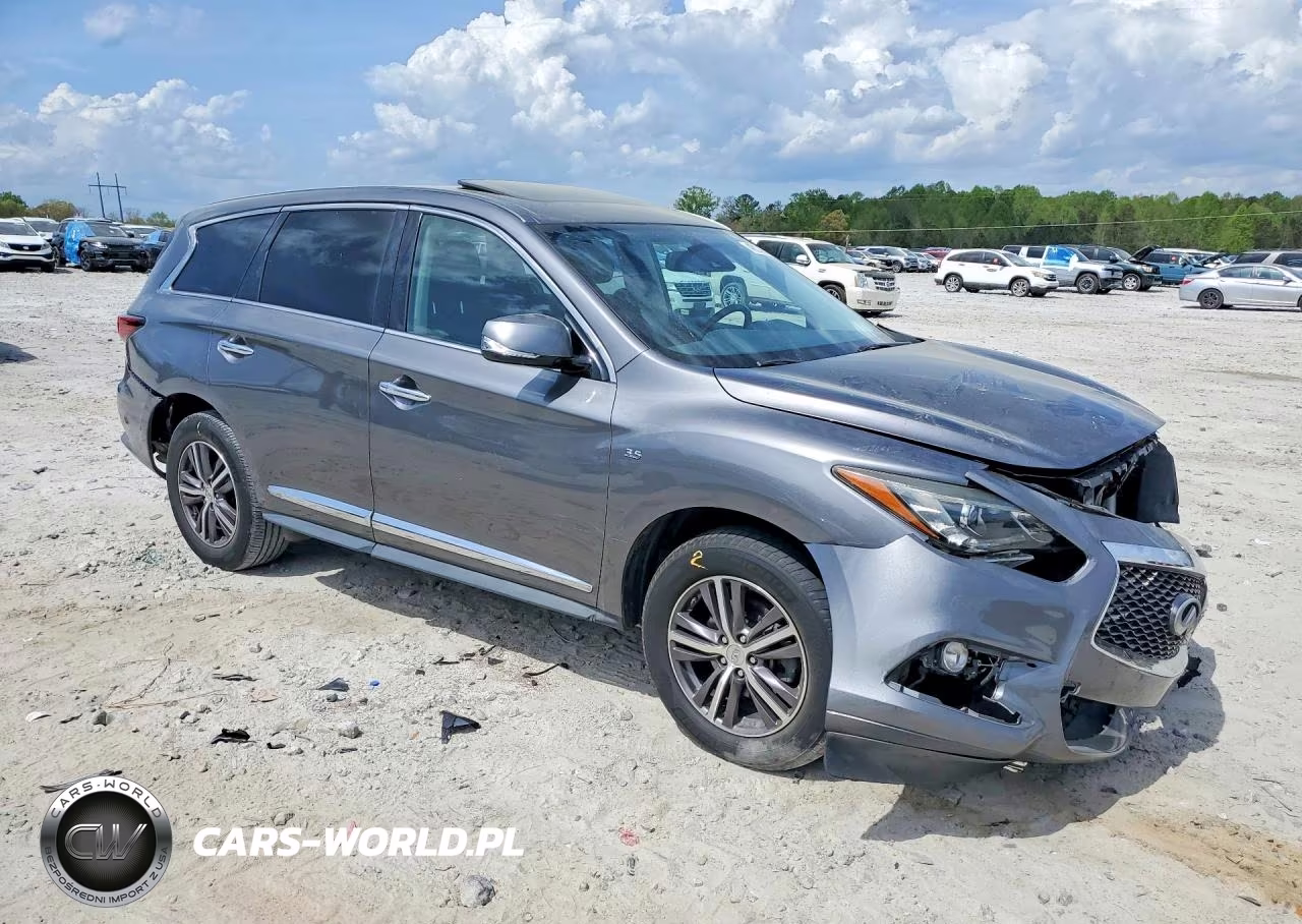 2019 Infiniti Qx60 Pure VIN:5N1DL0MN9KC519303 - 4