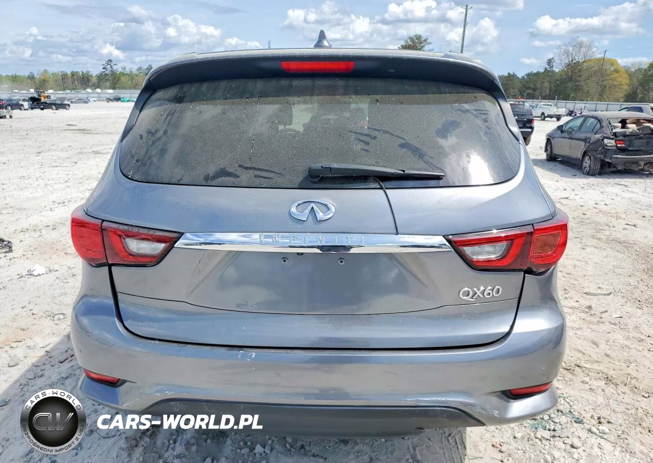 2019 Infiniti Qx60 Pure VIN:5N1DL0MN9KC519303 - 6