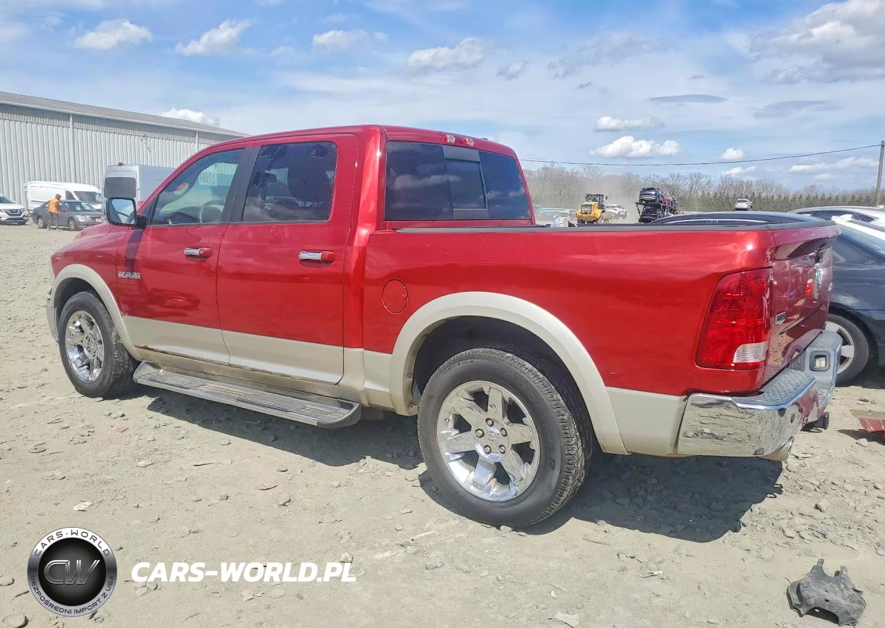 2009 Dodge Ram 1500 VIN:1D3HV13T39S794176 - 2